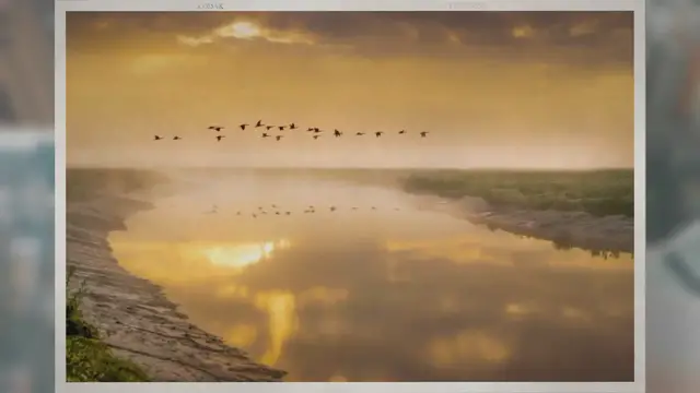 Video thumbnail for How Fast Do Geese Run?