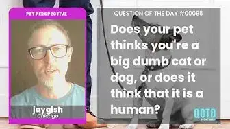 Video thumbnail for jaygish believes pets only think of food and poop. No thoughts, head empty!