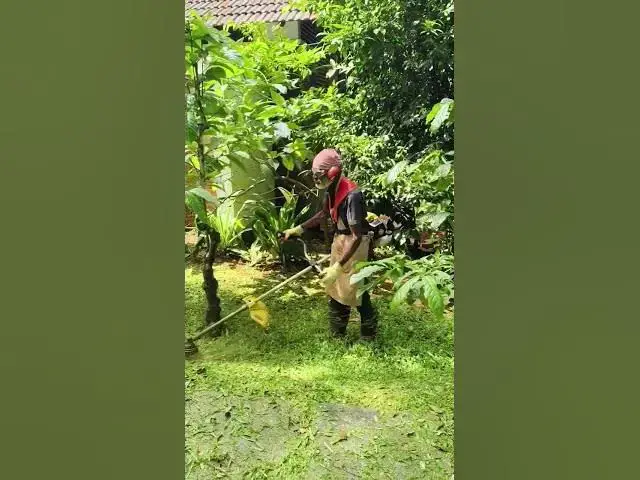 Video thumbnail for November 4, 2025