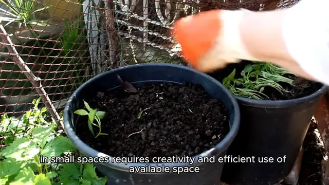 Video thumbnail for Best Ideas for Small Space Gardening