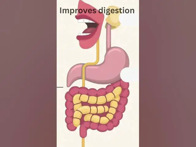 Video thumbnail for Your headaches aren’t random your electrolytes are low. #facts#ytshorts #wellness #healthandwellness