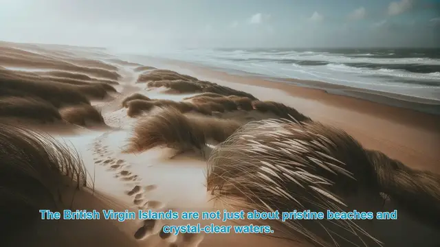 Video thumbnail for Discover the Vibrant Festivals of the British Virgin Islands