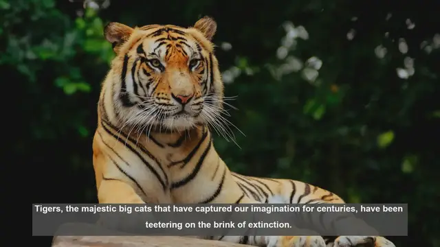 Video thumbnail for 10 Scientific Breakthroughs Saving Tigers from Extinction
