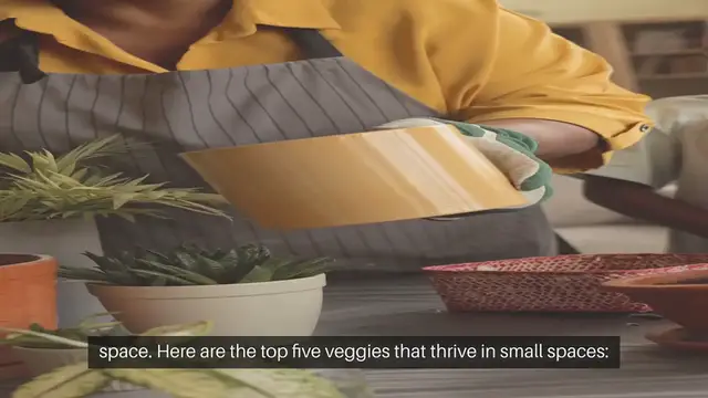 Video thumbnail for Top 5 Veggies to Grow in Small Spaces