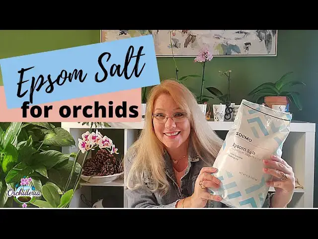 Video thumbnail for 5 Reasons Why Epsom Salt Perfect for Orchids