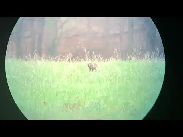 'Video thumbnail for 22-250 Smokes!! woodchuck no slow motion'