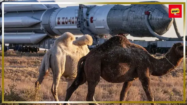 Video thumbnail for What is the history of the Cold War space race?