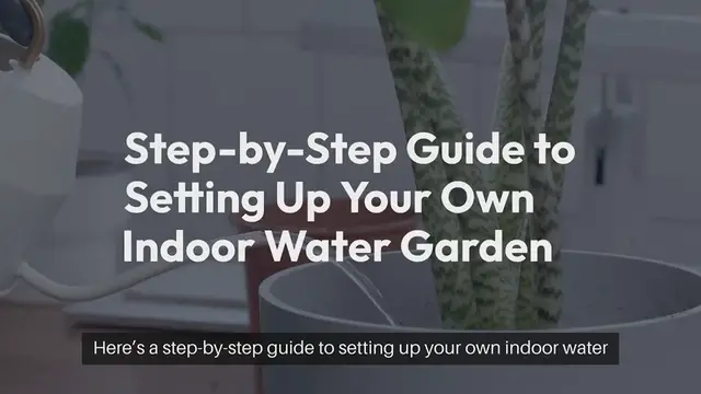Video thumbnail for How to Create an Indoor Water Garden