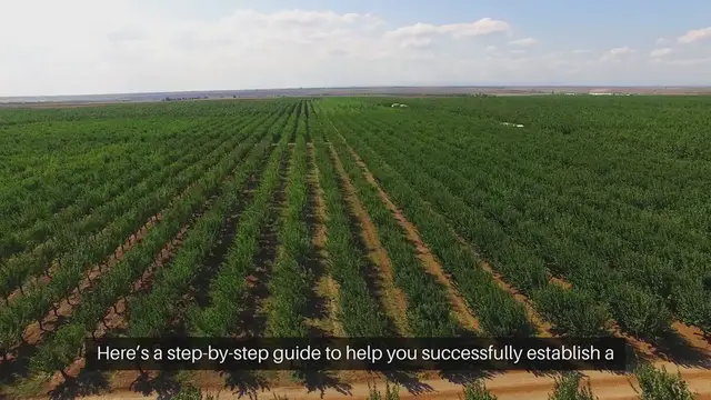 Video thumbnail for How To Plant A Fruit Orchard