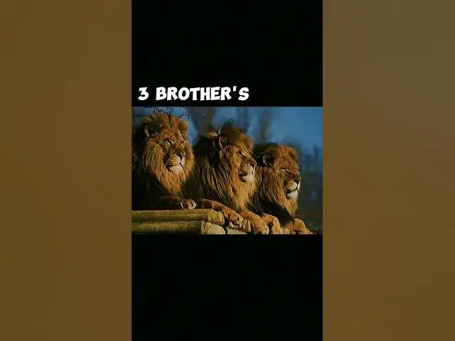 Video thumbnail for August 24, 2023