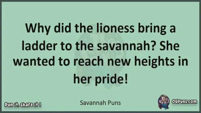 Video thumbnail for Savannah - Jokes, Puns, Wordplays, and Laughter