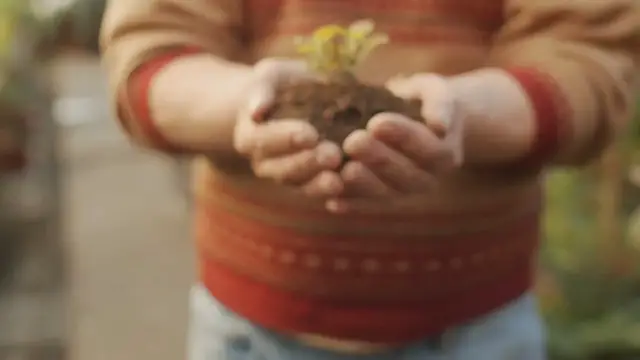 Video thumbnail for Espalier garden