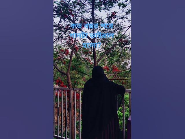 Video thumbnail for বুলবুলি তুই'#bulbuli #love #live #islamiclaw #bangladesh