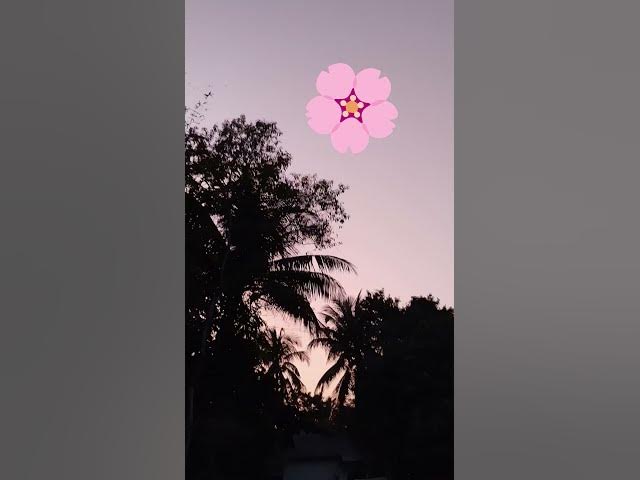 Video thumbnail for আল্লাহ তোমার সৃষ্টি জগৎ খুবই চমৎকার ❤️ #youtubeshorts #everyone #love #allahuakbar #allah