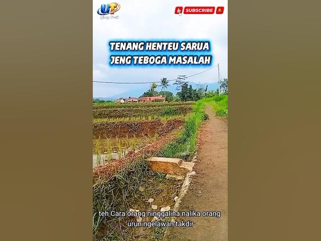 Video thumbnail for Tenang Henteu Sarua Jeng teu Boga Masalah#ujangtasik#pepelingsunda#shorts#viral