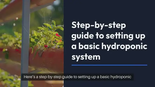 Video thumbnail for How to Create a Hydroponic System at Home