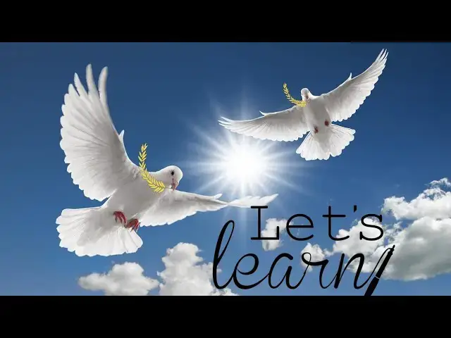 Video thumbnail for Flying Birds for kids|Birds|Jungle|Animation movie 2023|