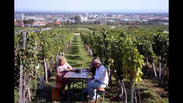 Video thumbnail for Unterwegs auf der Genussmeile in Gumpoldskirchen im Wienerwald