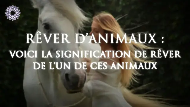 Video thumbnail for 💫 RÊVER D'ANIMAUX : Signification des rêves et interprétation 🐶