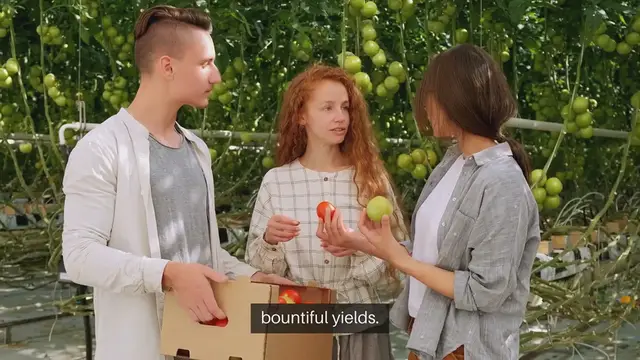 Video thumbnail for Vegetables For Sunny Spots