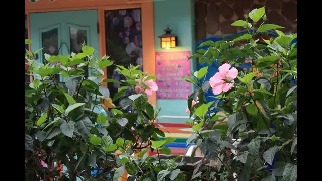 Video thumbnail for Captiva Island, Florida