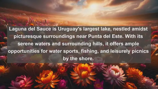 Video thumbnail for Discovering Uruguay's Hidden Gems: Top 10 Famous Lakes to Explore