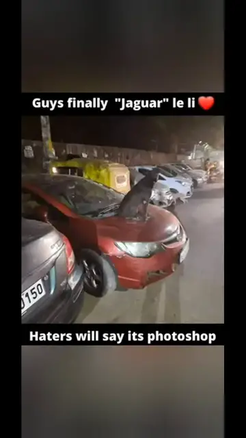 Video thumbnail for funny memes that will make you laugh #518 || legend memes ||  funny relatable memes 😂 #clean #shorts