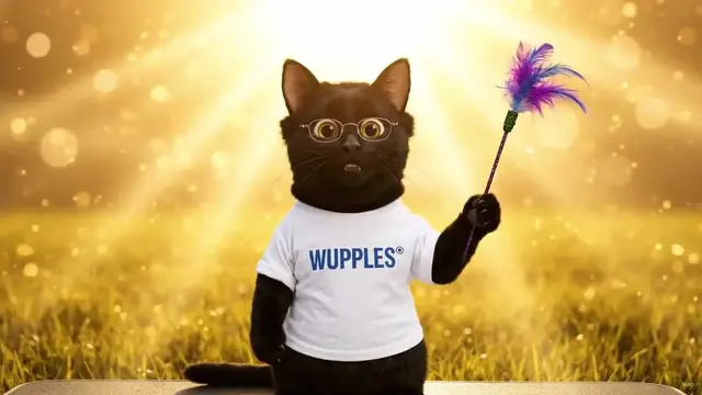 Video thumbnail for WUPPLES® English Bulldog 🐶 #wupplesdogs