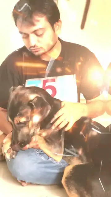 Video thumbnail for #pets #pet #petlove #dusky #randomclicks