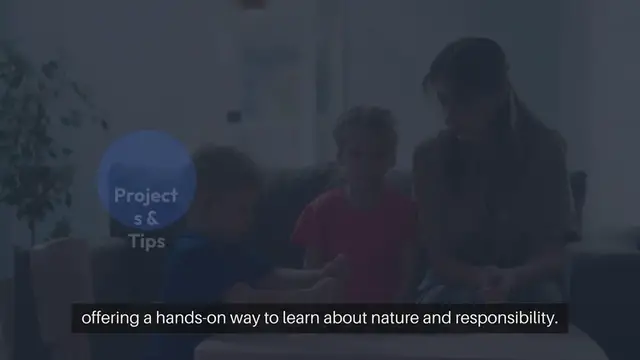 Video thumbnail for How to Create a Zen Indoor Garden