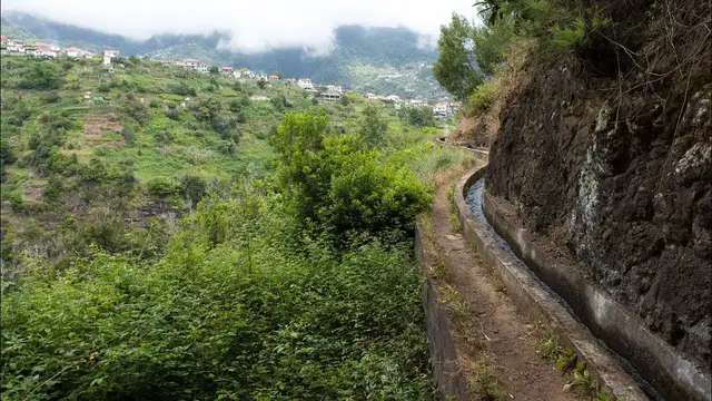 Video thumbnail for Levada do Castelejo | Madeira