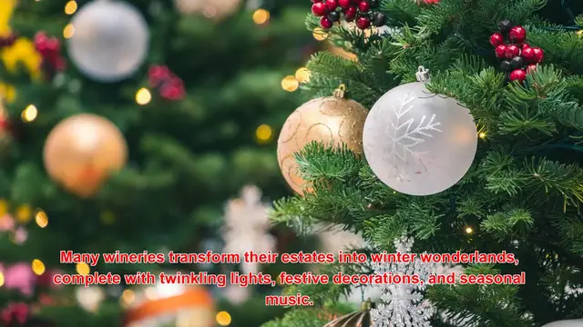 Video thumbnail for How Do People Celebrate Christmas With Vineyard Tours?