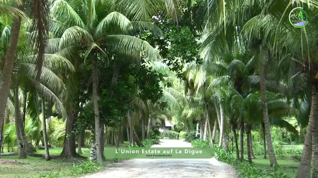 Video thumbnail for L'Union Estate auf La Digue | Seychellen