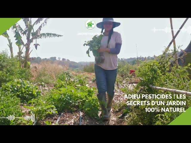 Video thumbnail for Adieu Pesticides ! Les Secrets d'un Jardin 100% Naturel