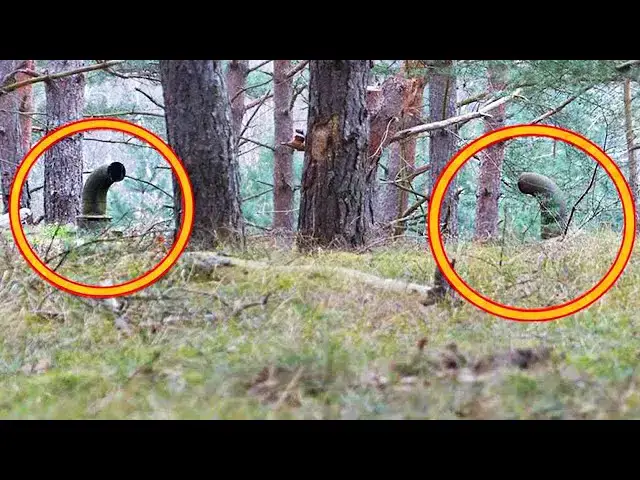 Video thumbnail for Two Guys Noticed These Pipes Sticking Out Of The Ground. They Never Expected This To Be Underneath