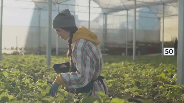 Video thumbnail for Berries and Cream Salad