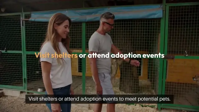 'Video thumbnail for Adopting a Pet Step by Step Guide'