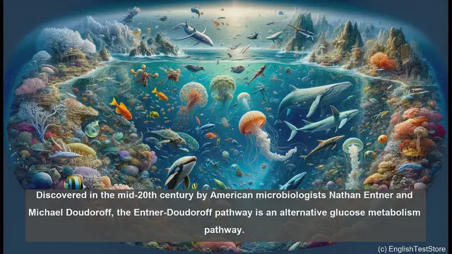 Video thumbnail for Entner Doudoroff pathway in biology - meaning, definition and examples