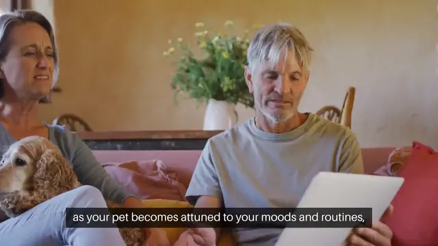 'Video thumbnail for Adopting a Pet Unconditional Love'