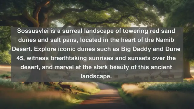 Video thumbnail for Discovering Namibia: Top 10 Must-Visit Destinations in the African Gem