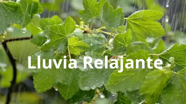 'Video thumbnail for Lluvia Relajante'