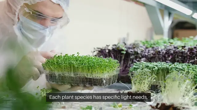 Video thumbnail for Choose Plants Sun Requirements