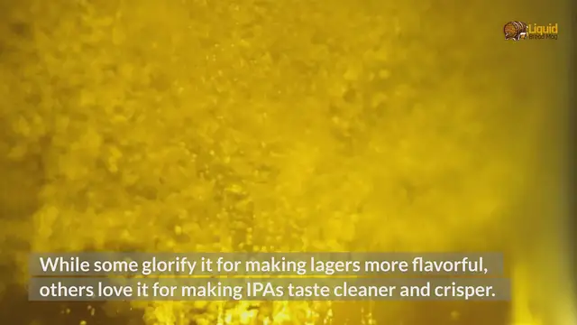 'Video thumbnail for What’s an IPL Beer?'