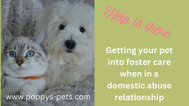 Video thumbnail for Are You in a Domestic Abuse Relationship? (Real-Life Interview Coming Soon)