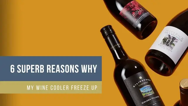 Video thumbnail for 6 Superb Reasons Why My Wine Cooler Freeze Up