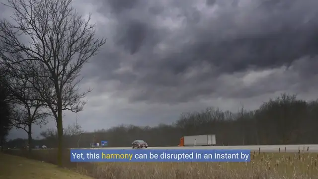 Video thumbnail for Do you have to have car insurance?