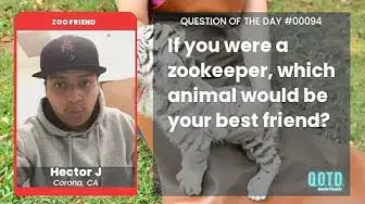 Video thumbnail for Hector is getting up to mischief with his animal bestie: a chimp!