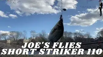 Video thumbnail for Joes Flies Short Striker 110 Review