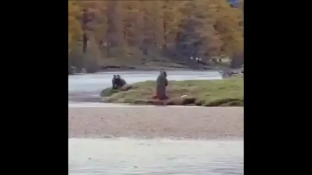 'Video thumbnail for bear kick'