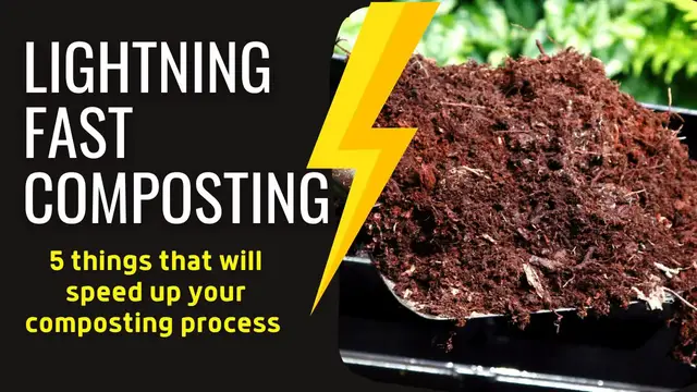 Video thumbnail for How To Speed Up The Composting Process | Organic Gardening Tips For Beginners